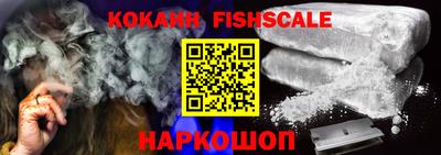 индика Моздок