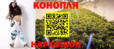 apvp Можайск