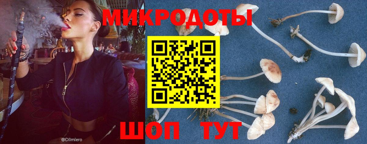 Феодосия  Псилоцибиновые грибы Psilocybine cubensis  Вход с VPN 